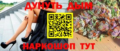 индика Пенза