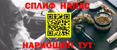 индика Пенза