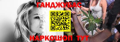индика Пенза
