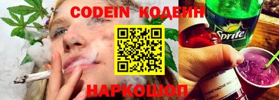 индика Пенза