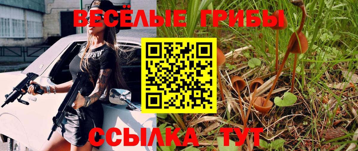 Галлюциногенные грибы GOLDEN TEACHER  цены наркотик  Сокол  Вход с VPN 