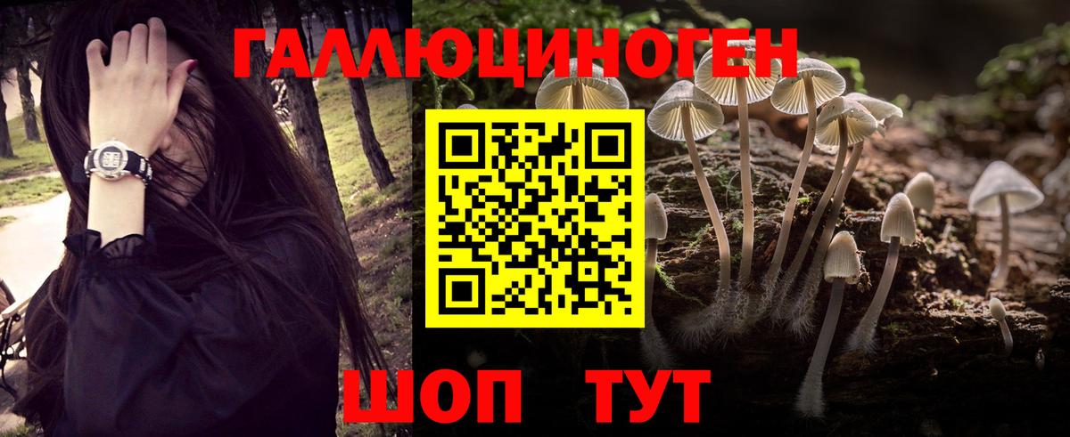 Псилоцибиновые грибы мухоморы Сокол