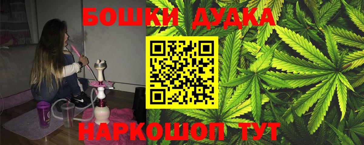 Каннабис планчик  Бошки марихуана сатива  Сокол  Бошки марихуана MAZAR  Вход с VPN 